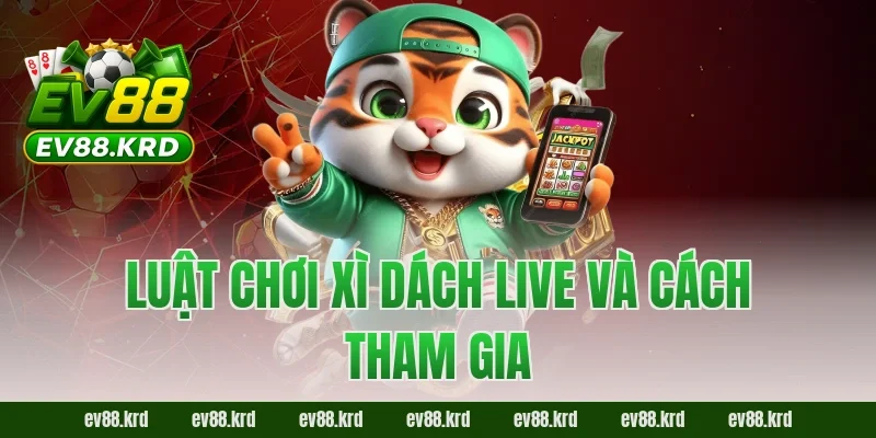 Luật chơi Xì Dách Live và cách tham gia